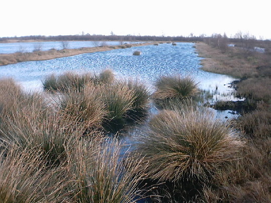 Thorne Moors: Thorne Moors